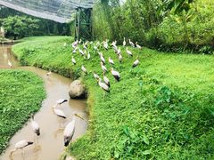 -吉隆坡雀鸟公园