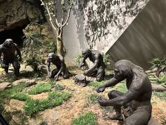 -北京周口店北京人遗址博物馆