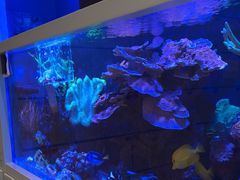 -KIDults童伴儿亲子餐厅(达美中心广场店)