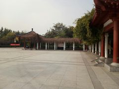 -洛阳市隋唐城遗址植物园