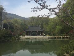 -南京东郊国宾馆
