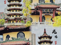 -宝岛公园