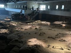 -自贡恐龙博物馆