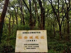 -临安城遗址(太庙遗址)