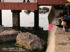 -丁香湖公园