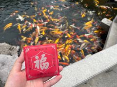 -下海庙
