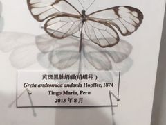 -吉林省自然博物馆