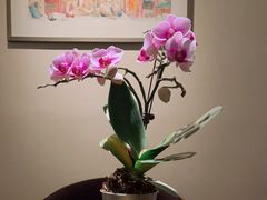 -BOCATA 西班牙餐厅(三里屯店)