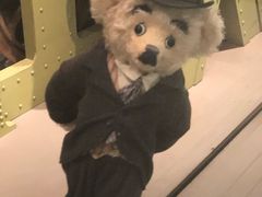 -济州岛泰迪熊博物馆