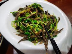 黑腐竹拌豆苗-临潼印象·特色陕菜