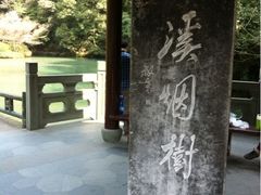 iphone_upload_pic-九溪烟树
