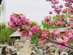 -陶然亭公园
