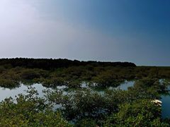 -北海金海湾红树林生态旅游区