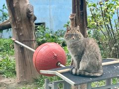 -青藏高原野生动物园
