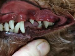 -乐琪宠物(青塔西路店)