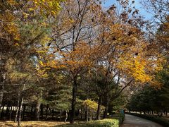 -森林公园(尖草坪区)