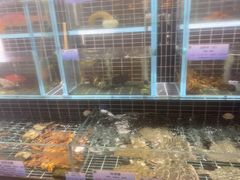 -宏运厨房·海鲜青岛菜·生日宴(城市阳台店)
