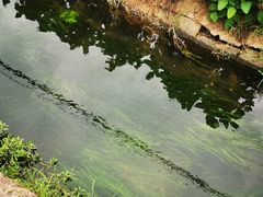 -李东农庄(中南百草园地标店)