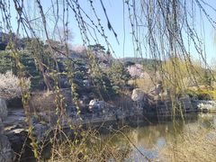 -北京西山国家森林公园