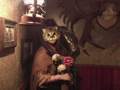 -秃鹫湾·推理大师沉浸式实景演绎推理剧场