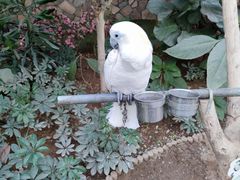 -南宫五洲植物乐园