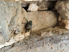 -蟠龙山长城景区