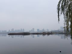 -星巴克(成都科学城店)