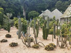 -深圳仙湖植物园-停车场