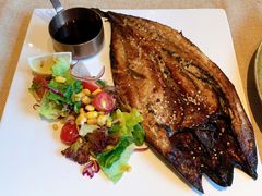 -一棵树·意大利西餐厅One Tree(新城店)