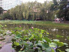 -莲湖公园