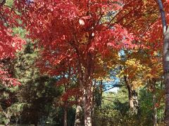 -长春市南湖公园