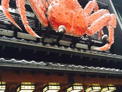 -蟹料理 北海道かに将軍(札幌本店)
