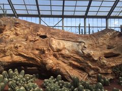 -南通洲际绿博园