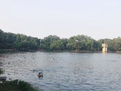 -紫霞湖公园