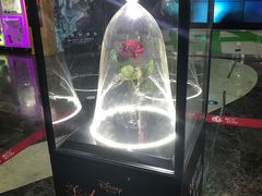 -天幕新彩云国际影城(激光巨幕店)