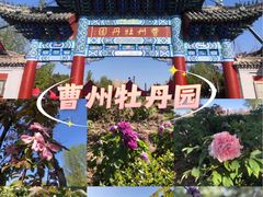 -曹州牡丹园