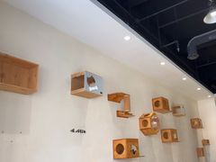 -藏猫猫咖啡主题馆(中央大道店)