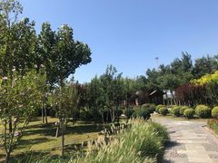 -东疆建设开发纪念公园