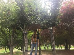 -南通洲际绿博园