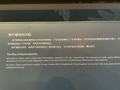 -云阿蛮云南生烫牛肉米线(奉贤路店)