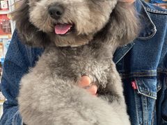 -瑞鹏宠物医院·超声·骨科·奇麟分院(蜀都万达店)