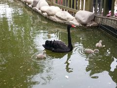 android_upload_pic-北京市海淀外国语实验学校