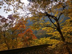 -北京上方山国家森林公园