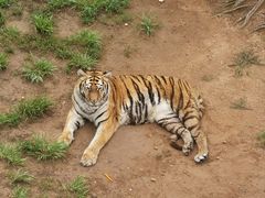 -西霞口神雕山野生动物世界