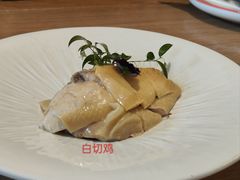 -新白鹿餐厅(城西银泰城店)