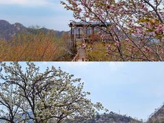 -大岭沟猕猴桃谷风景区