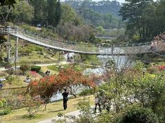 -东莞植物园
