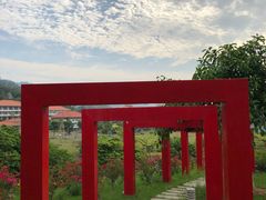-厦门国家会计学院
