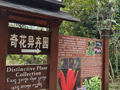 -中国科学院西双版纳热带植物园