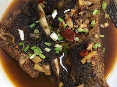 -天乐农家鱼头王(天目湖店)